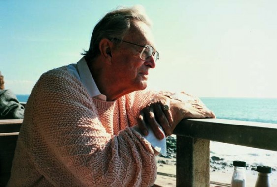 Niels Bagge ved stranden, Californien, ca. 1988