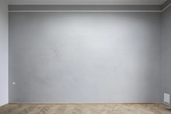 Måske er man om tusinde år noget kraftigere og mere uforstyrret, 2015, UV–print på non-woven tapet, 80 m2, Afgang 2015, Kunsthallen Charlottenborg, Dokumentation af Anders Sune Berg