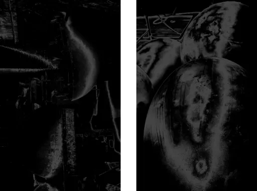 Melancholic Anatomy 2020