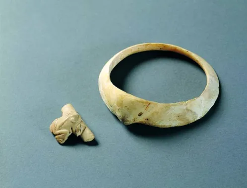 Armbånd og en lille frø, der nok har været en del af et lignende armbånd. Armbåndet bærer påskriften 'Rosevelt' og hentyder til Rooseveltsøen, der ligger på Gila Rivers løb. Det er vanskeligt at tidsfæste armbåndet, da denne type kendes fra mange perioder og steder. Diameter ca. 9 cm. Frøen er sandsynligvis senere, måske fra ca. 1000.