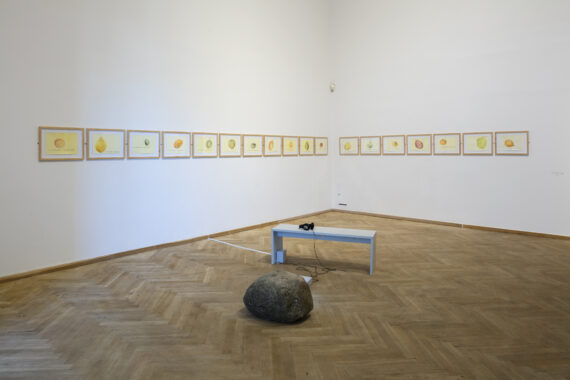 Du-er-agat-onyx-rød-elfenben-mosaik-farvet, videovværk, 22 min, Slow violence, Charlottenborg 2017, foto: Anders Sune Berg,