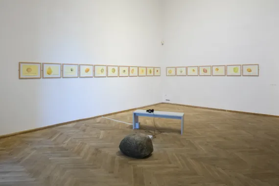 Du-er-agat-onyx-rød-elfenben-mosaik-farvet, videovværk, 22 min, Slow violence, Charlottenborg 2017, foto: Anders Sune Berg,