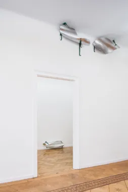 The Apartment, Croy Nielsen, Vienna 2020, photo by kunstdokumentation