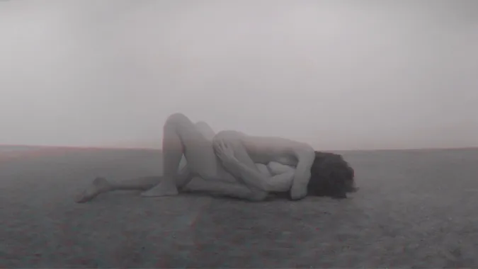Traum. The word trauma stems from Greek and means wound, and traum (German) means dream. 3D video-projection, 7.41 min. Sound by Ane Trolle. Act by porn actors, Danske Misse and Carlos. Foto: GRAYSC
