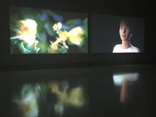 Pollen Messages (2016), foto: Ann Lislegaard og KUA