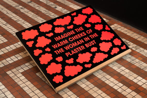 Lise Harlev, Imagine the Dark Hair, 2020, folietekst på akrylglas, MDF-standere, serie på seks værker, 55 × 80 × 30 cm hver. Foto: David Stjernholm.