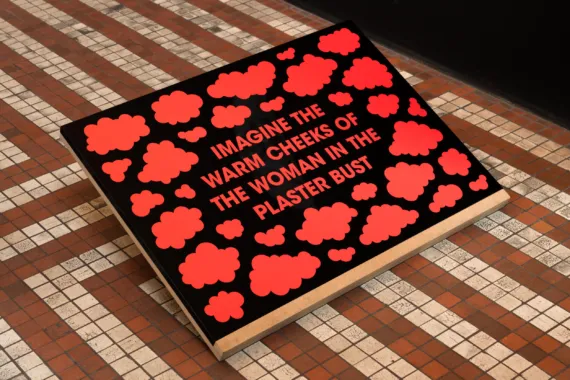 Lise Harlev, Imagine the Dark Hair, 2020, folietekst på akrylglas, MDF-standere, serie på seks værker, 55 × 80 × 30 cm hver. Foto: David Stjernholm.