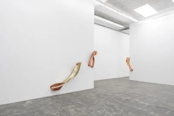 The Thirst, Gallerie Nicolai Wallner, 2019, photo by Anders Sune Berg
