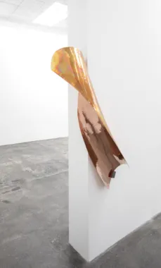 The Thirst, Gallerie Nicolai Wallner, 2019, photo by Anders Sune Berg