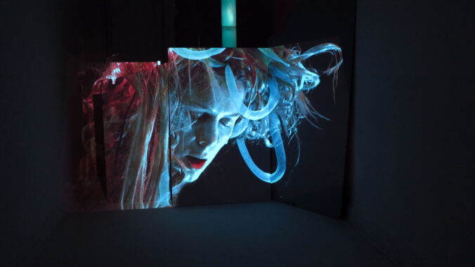 Head On My Dear (2014) Video installation (07:50 min loop with sound) Dimensions V ariable.