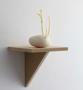 Ghost Potato, 2010. 3D-print i gummi, mdf. Foto: Anders Sune Berg