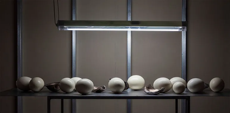 Seeds of all Life, 2016. Strudseæg, bronze, stål. Foto: Lior Zilberstein.