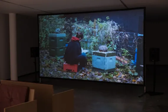 Pollination Services, videoværk, 47 min, Community Services, Marabouparken Konsthall, 2018