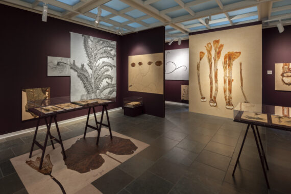Det jeg aldrig før har set, 2023. Willumsens Museum. Foto: Malle Madsen