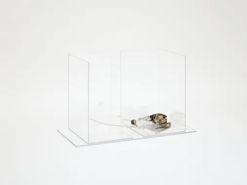 Invisible sculpture, 2022. Acrylic sheets, acrylic rods, hinges, blackbird skeleton 45,6 x 62 x 34 cm. Foto: Malle Madsen