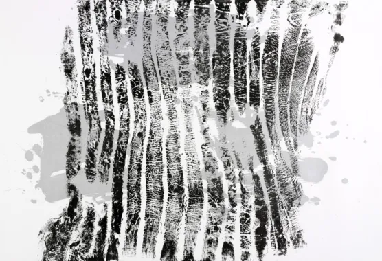FINHVALEN, 2011, Litografi, 120 x 90 cm, Oplag 30