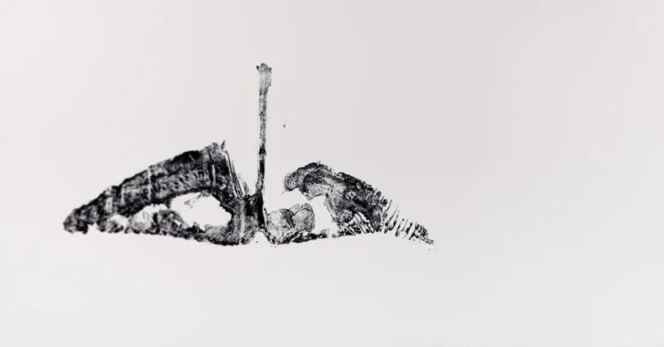 GRINDEHVAL HALE, 2011, kobbertryk, æstning, 1 x 2 m, Oplag 5 styks, foto: Hans Ole Madsen