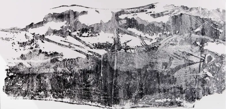 HVALSKINDET, 2011, kobbertryk, æstning, 1 x 2 m, Oplag 5 styks.