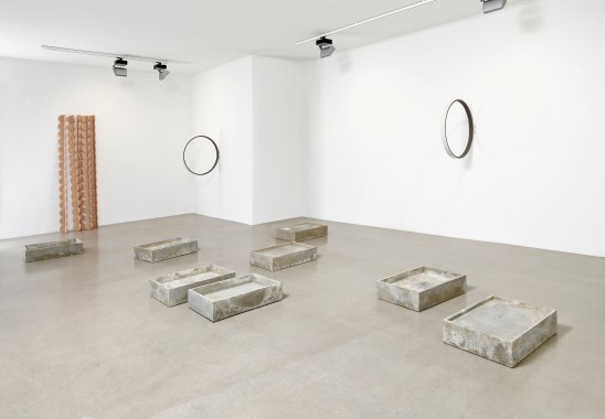How Can I Sleep (Installation), Beer, cow manure, moss and youghurt on concrete, 2013