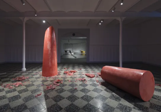 Julie Stavad, I am here for pleasure but it is no fun, 2022. Foto: Anders Sune Berg.