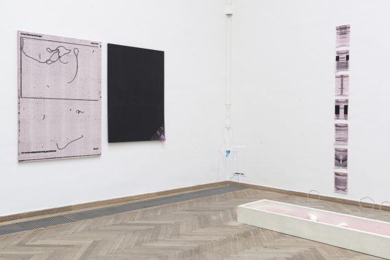 The Expression of the Emotions, 2015. Toner, A4, hvid beton, perlemorpigment, bivoks, aluminium, pla 3d print, sukker krystal, europæisk grote edderkop (Meta menardi).