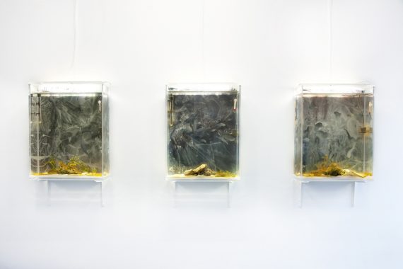 Knucklesoup, Third Space, 2014. Akryl og akvarel på papir, akvarium af klar akryl. Hvert værk indeholder én Mantis Reje, saltvand, vandplanter, levende sten, samt pumpe og varmelegeme. Hvert værk måler 77 x 60 x 20 cm. Foto: Miriam Nielsen