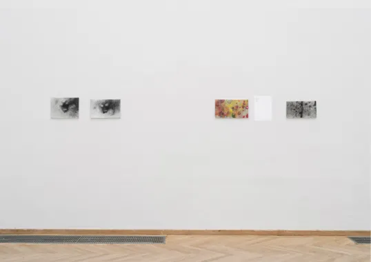 Installation view, Afgang 2018 på Kunsthal Charlottenborg Foto: David Stjernholm