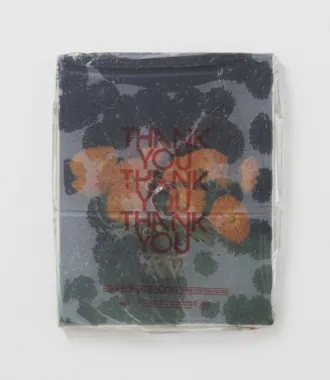 THANK YOU THANK YOU THANK YOU (Orange flowers), 2018. Epoxy resin, plastic bag, found painting.