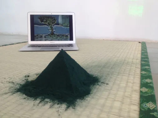 Mana, 2015. Foto: Max Gerthel