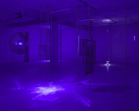 Installations view fra udstillingen 'Orgone' på Overgaden Institut for Samtidskunst, 2014. Foto: Anders Sune Berg