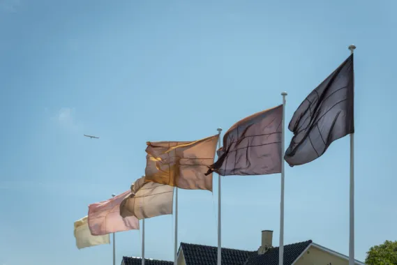 Native, Exotic, Normal / State of Emergency, 2016. Folkemødet på Bornholm. Flagstænger, glasfiber. H. 8 m. Flag, polyester. 170 x 225 cm. Foto: Anders Beier