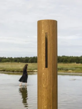 Probes of the Forgotten Tone, 2017, Læsø