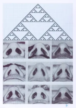 Pyramidology (House of Big Noses), 2011, A2, digital print på papir, foto: Anders Sune Berg