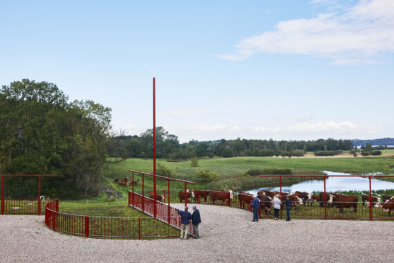 Rotation af Mennesker og Landskab, 2015, 54 m hegn med cirkelslag, malet stål, corten stål, foto: Torben Petersen
