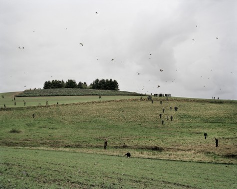 How to Hunt: Rævebakke syd, 2005-10, c-print, 63x80 cm / 120x150 cm / 160x200 cm
