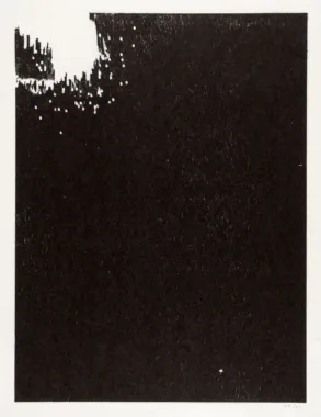 Èt skud, ét tryk, nr. 3, unika træsnit, 2011, 480 x 380 mm [400 x 300 mm], papir: Kozo, foto: Lars Bay, Museum Jorn