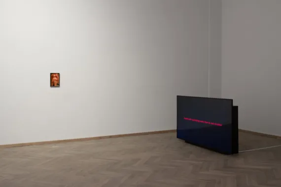 Soles, 2024. Photographs, framed and Work Notes, 2022-2024. HD video, no sound, 6 min. loop, installation view: Kunsthal Charlottenborg. Foto: David Stjernholm