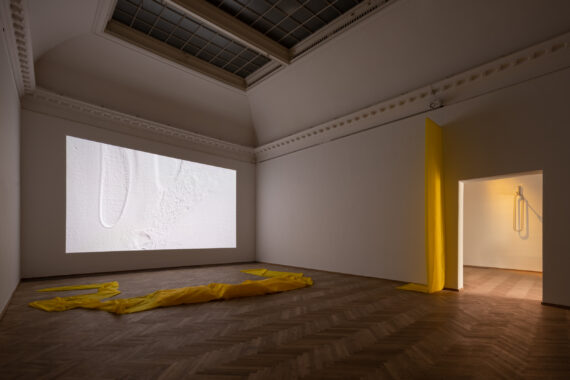 Stripped MIGHTY RUSHED EXPERIMENT, 2020. Lea Porsager, Kunsthal Charlottenborg, Photo: David Stjernholm
