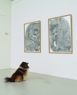 Wolf Pack, installations view med Shetland collie, Janus Bygningen, 2016. Blyant på papir, indrammet. Hvert værk måler 88 x 122 cm. Foto: Bjarke Regn Svendsen