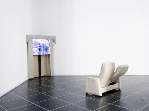 Sara Sjölin, Rika djur. Video, fjernsyn, filt, keramik, sofa, træ. Foto: Malle Madsen.