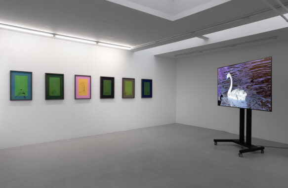 "NÅR," installation view, soloudstilling, Gether Contemporary (Kbh/DK) Foto © David Stjernholm, 2021
