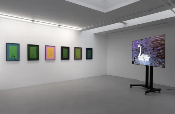 "NÅR," installation view, soloudstilling, Gether Contemporary (Kbh/DK) Foto © David Stjernholm, 2021